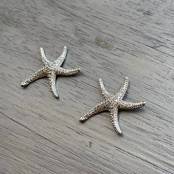 Orecchini stella marina